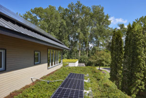 Green residential flat roof with vegetation and solar panels